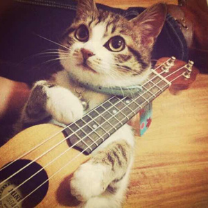 97色伦欧美自拍视频
