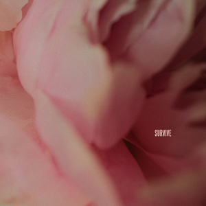 97色伦欧美自拍视频
